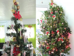 WEEKEND FUN UPDATE: Name the local Christmas tree