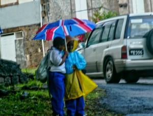 PHOTO OF THE DAY: Share my umbrella