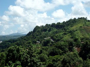 PHOTO OF THE DAY: Peaceful countryside