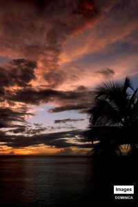 PHOTO OF THE DAY: Early evening skyscape