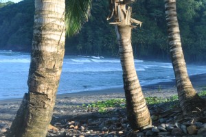 PHOTO OF THE DAY: Tranquil beach at Castle Bruce