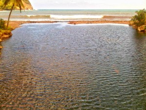 PHOTO OF THE DAY: Perfect for a dip