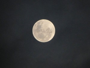 PHOTO OF THE DAY: A Dominican full moon