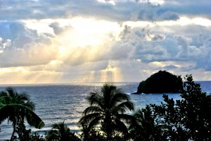 PHOTO OF THE DAY: Morning sun light at Castle Bruce