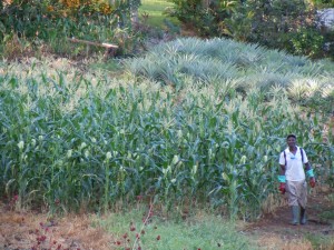 PHOTO OF THE DAY: A proud farmer