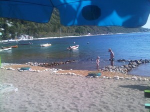 PHOTO OF THE DAY: Loving the water