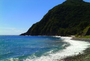 PHOTO OF THE DAY: Grand Bay shoreline