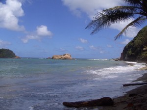 PHOTO OF THE DAY: Blue sky at Hodges Bay