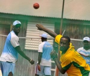 PHOTO OF THE DAY: Brothers in the net