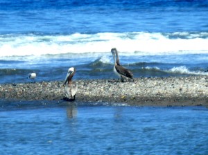 PHOTO OF THE DAY: Roseau River rest stop