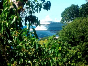 PHOTO OF THE DAY: Kitchen window view