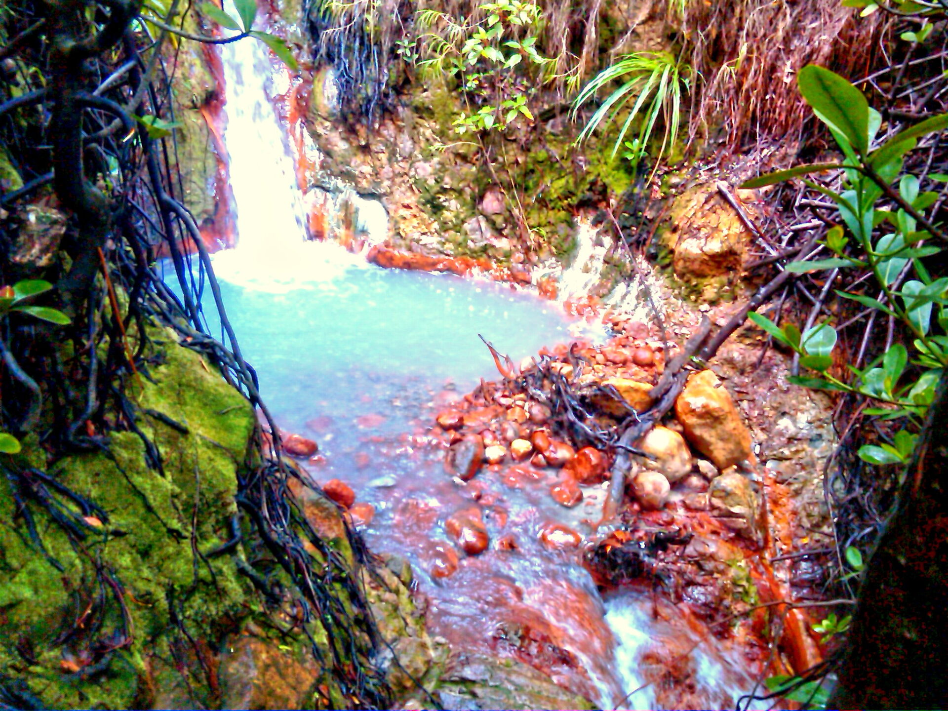 Photo Of The Day Natural Hot Water Spa Dominica News Online