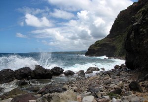 Searching for petroglyphs in Dominica