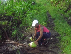 PHOTO OF THE DAY: Woman peeling coconut