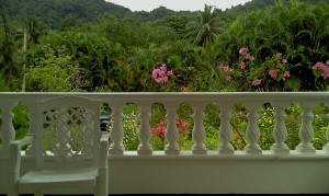 PHOTO OF THE DAY: Father’s view