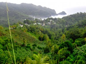 PHOTO OF THE DAY: East coast greenery