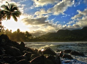 PHOTO OF THE DAY: Rugged nature