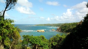 PHOTO OF THE DAY: Rugged coastline