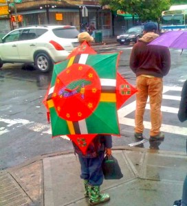 PHOTO OF THE DAY: A shelter from the rain