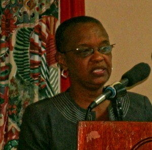 CARICOM consultation opens in Dominica