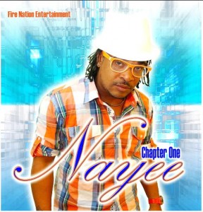 Cover of Nayee's compiliation 'Chapter One'
