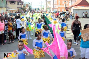 Flag wavers at the opening parade of Carnival 2014