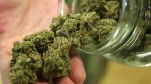 CARICOM has set up a commission to review marijuana in Caribbean countries 