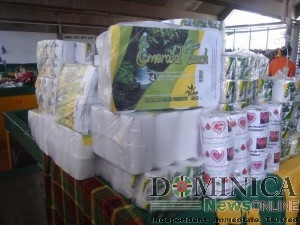 Dominica’s only tissue paper maker up for sale