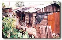 Dwelling house in Dominica n need of much repairs