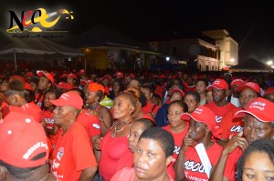 Section of a DLP crowd during the party's campaign launch
