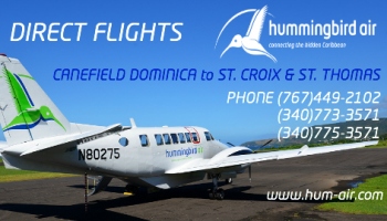 Hummingbird Air 306 x 250