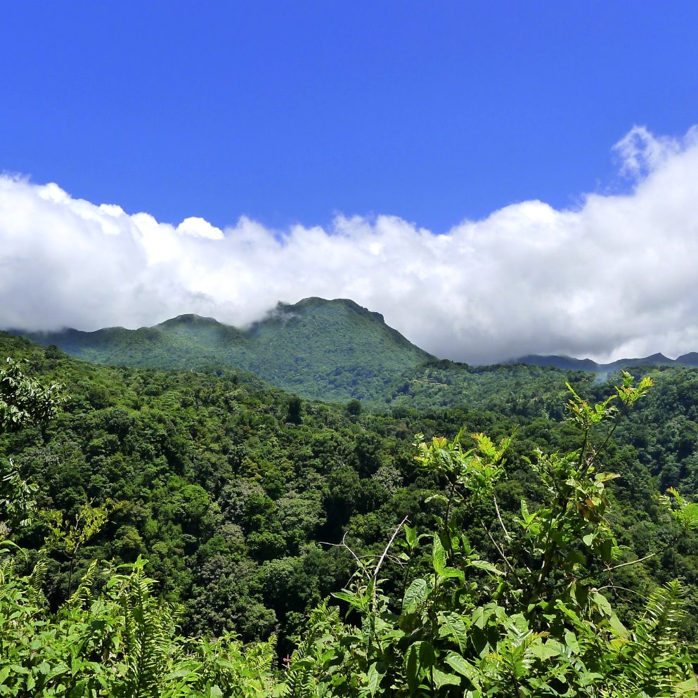 PHOTO OF DAY: Up in the clouds - Dominica News Online