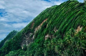Dominica observes Earth Day