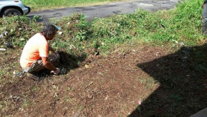 Wesley resident embarks on beautification project