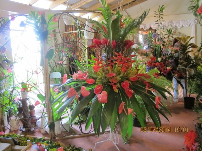 Display at Giraudel Flower Show 2014