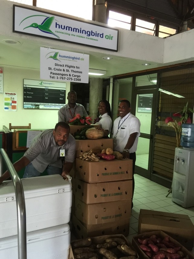Shipping Dominican agricultural products with Hummingbird Air