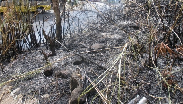 A number of bush fires were reported on Wednesday 