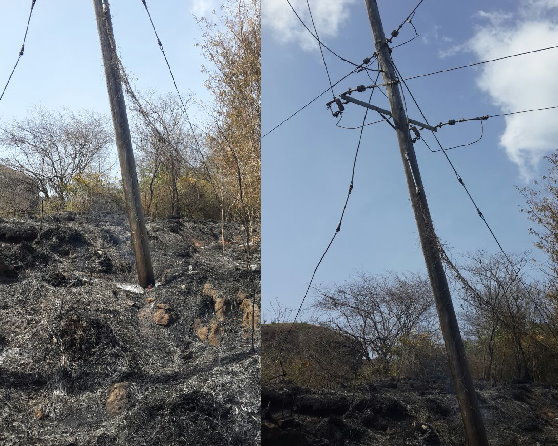 DOMLEC's poles affected by bush fires 