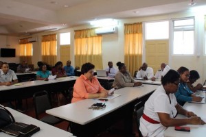 Consultation on road safety gets underway in Dominica