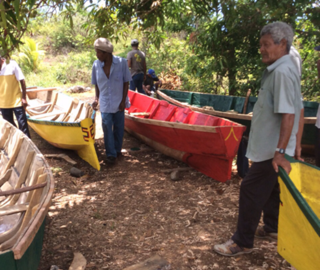 Some of the canoes that will be used in the regatta 