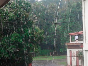 CCRIF pays Dominica EC$6.5-million under its Excess Rainfall Programme after Erika