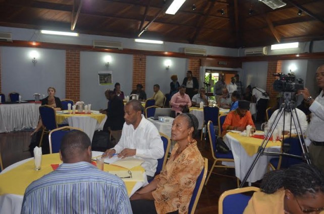 Participants at the consultation 