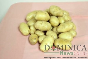 White potatoes 