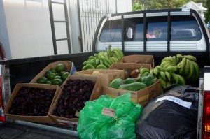 Agriculture Ministry donates to institutions that assist less fortunate