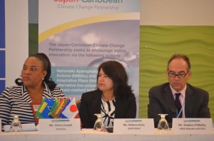 Japan and UNDP kick start US$15 million Caribbean Climate Change Project
