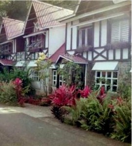 Floral Gardens hotel may be reconstructed – Oliver Seraphin