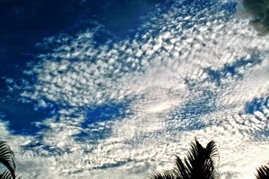 PHOTO OF THE DAY: Art in the sky