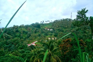 PHOTO OF THE DAY: View in Kalinago Territory