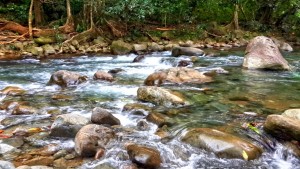 PHOTO OF THE DAY: The waters of Dominica