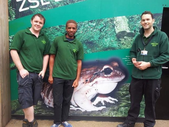 Luke Harding, Senior Reptile Keeper at ZSL, Machel Sulton, Amphibian Tech (In Dominica) and Benjamin Tapley, Head of the Reptile Team/Reptile & Amphibian House at ZSL